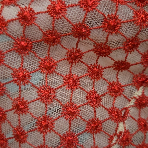 Victoria's Secret 38 DD Mesh Bra - Picture 6 of 6